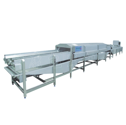 大姜清洗流水線