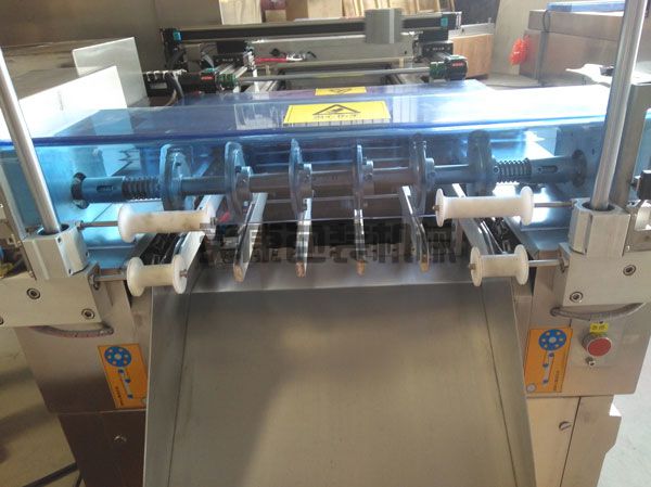 DLZ520系列自動(dòng)連續(xù)真空包裝機(jī)(圖3)