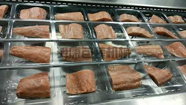 DLZ520系列自動(dòng)連續(xù)真空包裝機(jī)(圖4)