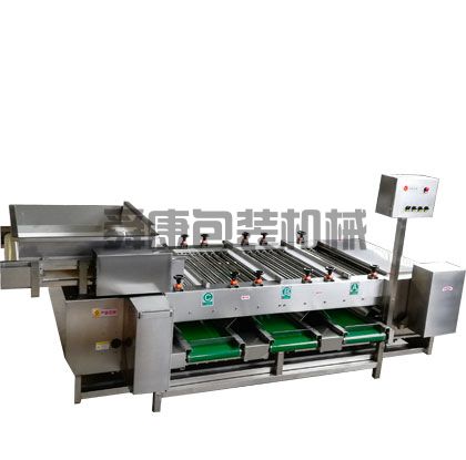 蒜米分級(jí)機(jī)