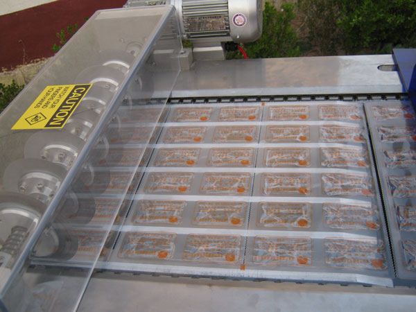 DLZ320-420系列自動連續(xù)真空(圖6)