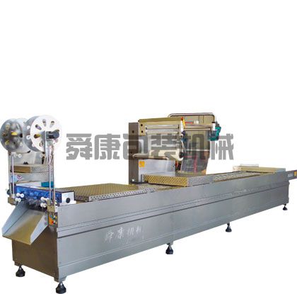 DLZ520系列自動(dòng)連續(xù)真空包裝機(jī)(圖1)