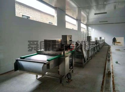 大蒜清洗機(圖2)