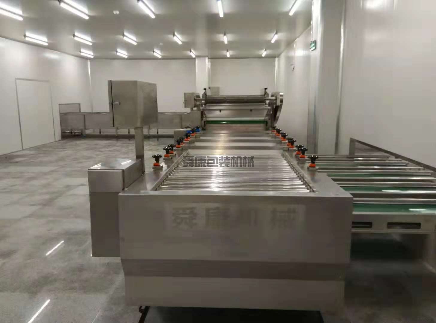 大蒜清洗機(圖3)