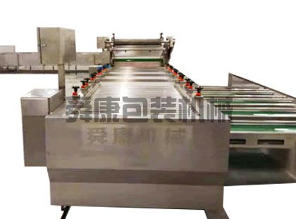 大蒜清洗機(jī)