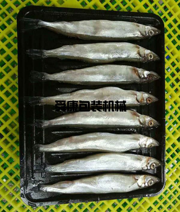 真空貼體包裝機(圖8)