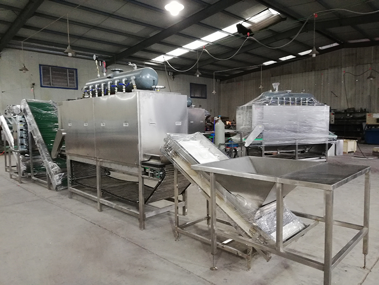 大蒜去皮機(圖1)